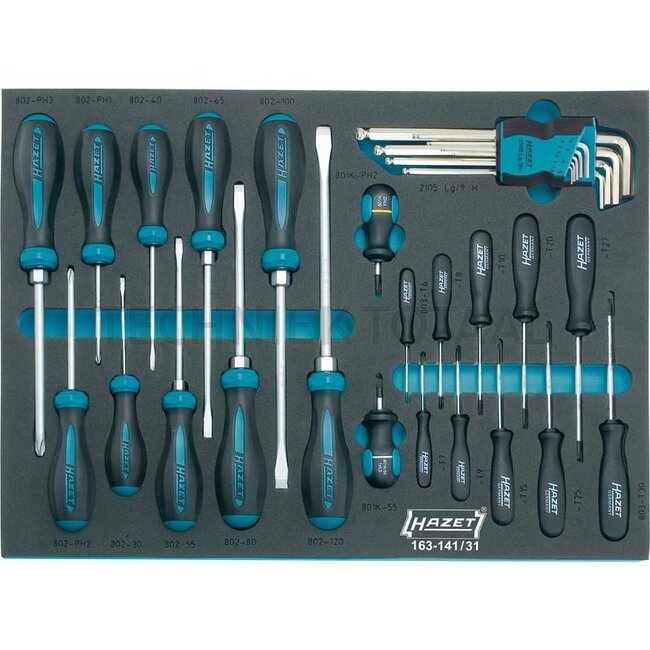 Hazet Screwdriver set - 163-141/31 - 163-141/31