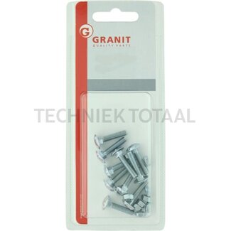 Carriage bolt M6x60 - 10 pcs.