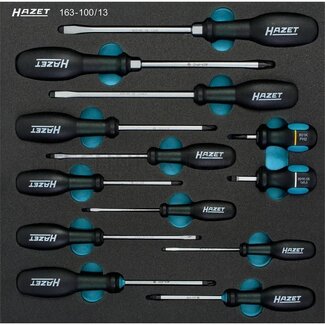 Hazet Screwdriver set