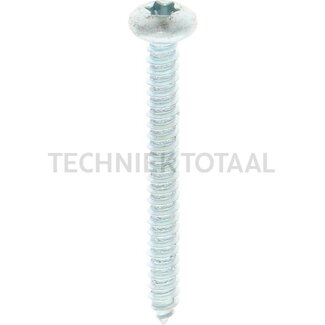 GRANIT Self-tapping pan head screw 4.8x45 - 250 pcs.