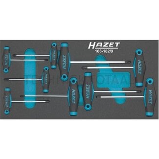 Hazet Screwdriver set with T-handle