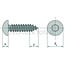 GRANIT Self-tapping pan head screw 5.5x100 - 250 pcs.