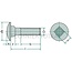 GRANIT Slotbouten M8 x 20, DIN 603 - 50 stuks - 487603086 | DIN: 603 | Ø D (mm): 8 | Lengte (mm): 20 | Materiaal: Staal | Kwaliteitsklasse: 8.8 | Draad: M8 | Spoed: 1,25 | Kop-Ø (mm): 20,65 | b (mm): 22 | Type: Slotbout | F (mm): 5,6 | v (mm): 8,58 | Kop: Platte