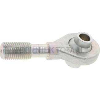 Spindel