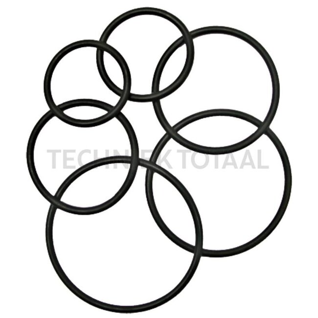 GRANIT O-ringen voor zuigercilinder - 10 stuks - 570074.0X3.0/10, 3051786R1