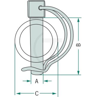 GRANIT Rohrklappstecker - Ausführung: verzinkt. A (mm): 11. B (mm): 45. C (mm): 40