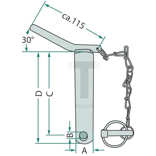 GRANIT Pin Special version - 200129119 | Version: With chain | Category: Special version | A: 36 mm | B: 12 mm | C: 335 mm | D: 365 mm