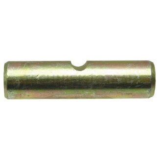 Pen