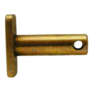 Pen