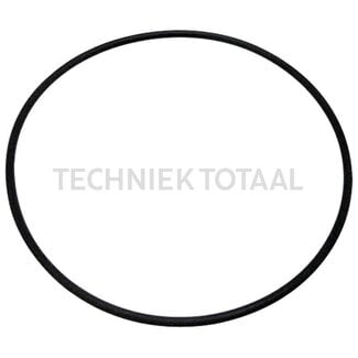 O-Ring für Kolbenzylinder