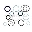 GRANIT Seal kit for lifting cylinder/front power lift Ø 28/55 mm - 71806049, G001990010740