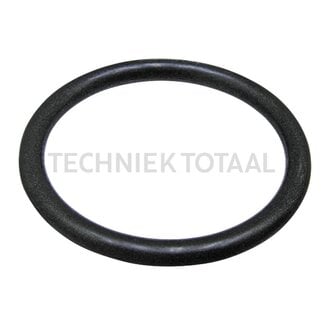 O-ring links 54 x 5 mm Fiat