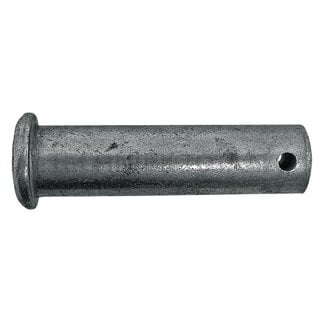 Pen