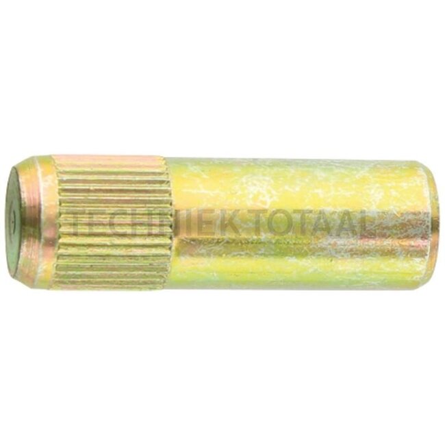 GRANIT Scharnierstift für Türscheibe - 65406605, 816810030090