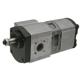 Bosch/Rexroth Doppelpumpe linksdrehend 19 + 11 cm³/U/min. Massey Ferguson, Renault