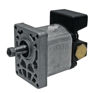 Bosch/Rexroth Single pump clockwise with valve