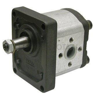 Bosch/Rexroth Single pump clockwise