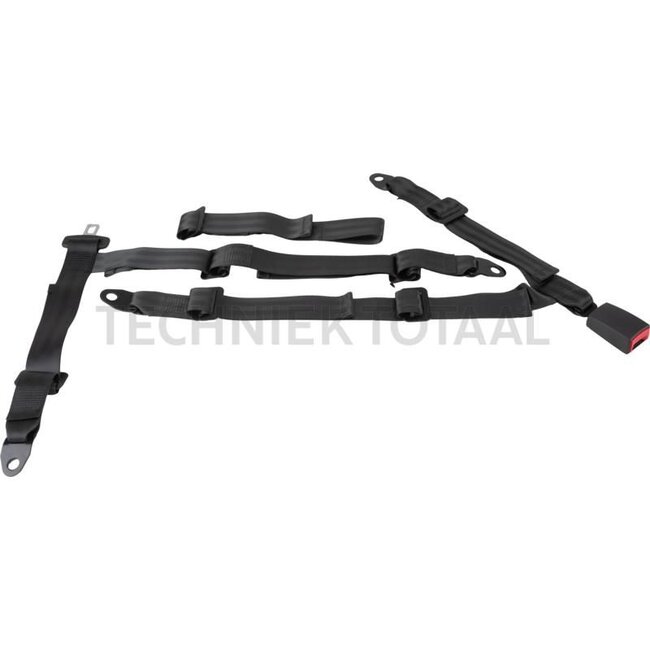 GRANIT 5-point seat belt - 12261710