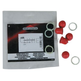 Briggs & Stratton Primer Economy pack