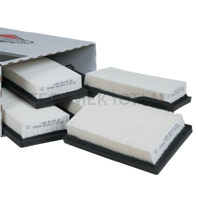 Briggs & Stratton Air filter Economy pack - 4223