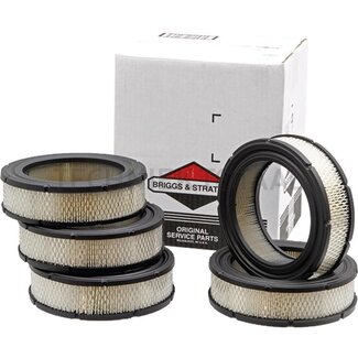 Briggs & Stratton Air filter Economy pack