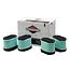 Briggs & Stratton Air filter Economy pack - 4233