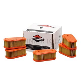 Briggs & Stratton Air filter Economy pack