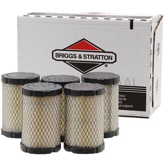 Briggs & Stratton Air filter Economy pack