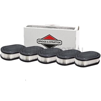 Briggs & Stratton Air filter Economy pack