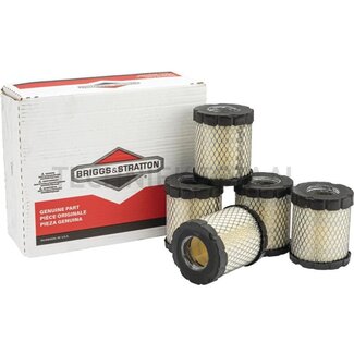 Briggs & Stratton Air filter Economy pack