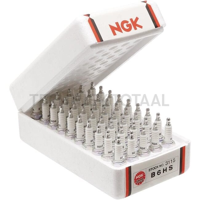 NGK Spark plugs BM6A - 3402