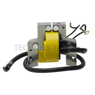 GRANIT Ignition coil