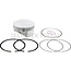 Briggs & Stratton Piston - 594435