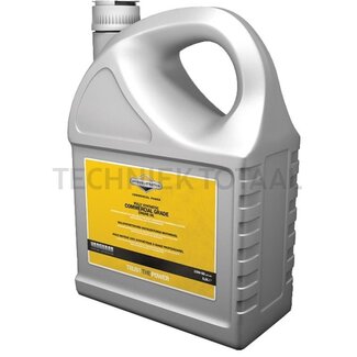 Briggs & Stratton Synthetic oil, SAE 15W-50 5.0 litres