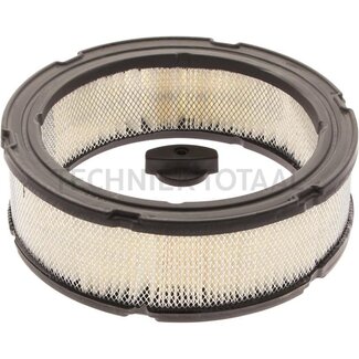 Briggs & Stratton Air filter