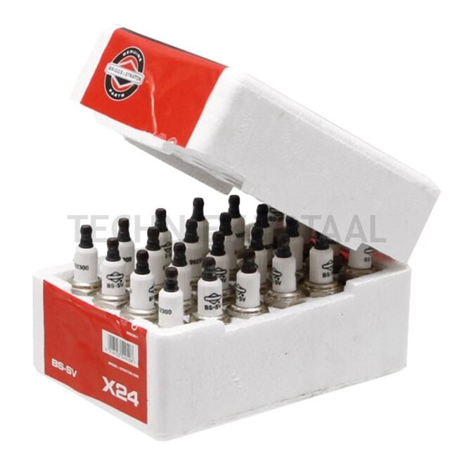 Briggs & Stratton BS-SV spark plug Bulk pack - RJ19LM/T10, CHRJ19LM