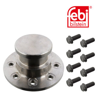 FEBI Bilstein King Pin with securing bolts