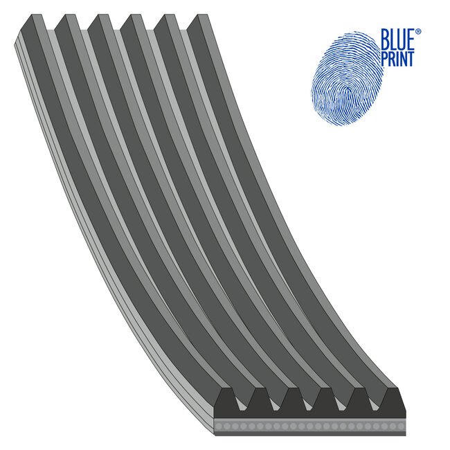 Blue Print Auxiliary Belt - New Holland -New Holland - B9513589
