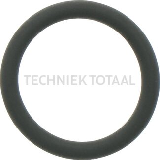 GRANIT O-ring injectors rail-injector Case IH CVX 140-195, CVX 1195