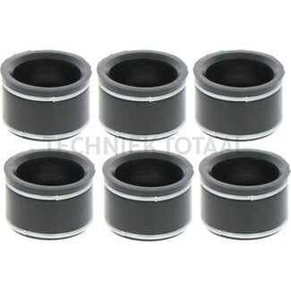 Valve scraper set Ø 13,1 x 9,3 mm, thickness 12 mm Case IH