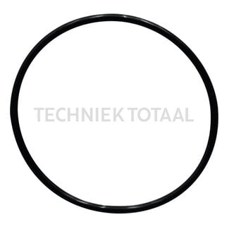 GRANIT O-ring Ø 4,7 mm Case IH 1455