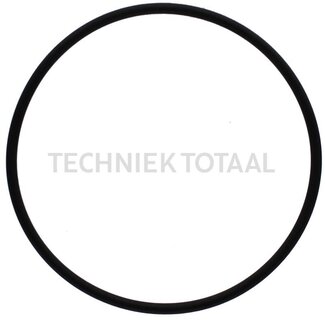GRANIT O-Ring Zylinderbuchse Fendt, Renault