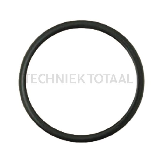 GRANIT O-Ring - 38006276, X548874038000 | Abmessungen: 25 x 4 mm