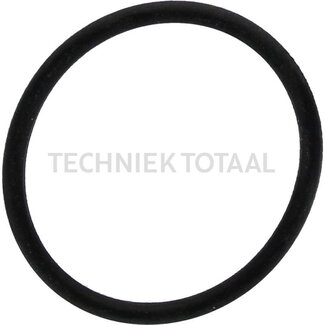 GRANIT O-Ring Förderpumpe Ø 32 x 2,5 mm Fendt