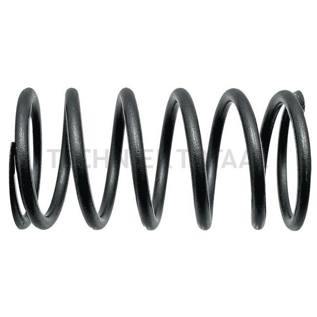 GRANIT Valve spring inner - 38006457, F284201011020