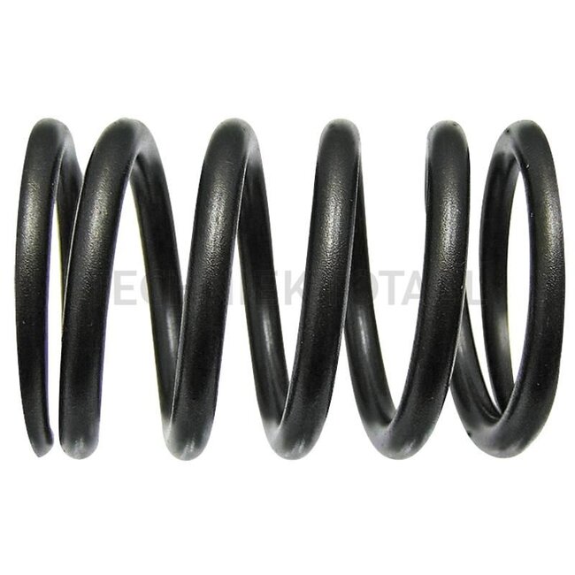 GRANIT Valve spring outer - 38006458, F284201011010