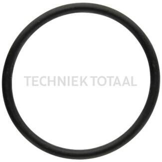 GRANIT Sealing ring for oil cooler housing