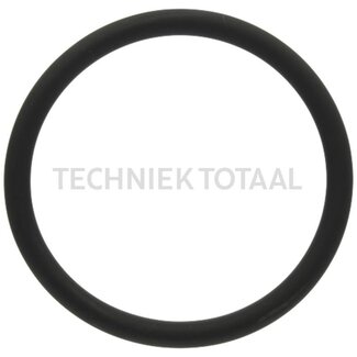 GRANIT Afdichtring voor thermostaathuis, Ø: 53 x 5 mm