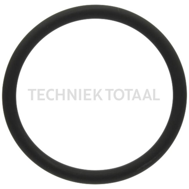 GRANIT Afdichtring voor thermostaathuis, Ø: 53 x 5 mm - 38006910, F934201610010