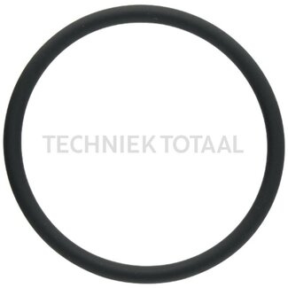 GRANIT Afdichtring voor thermostaathuis, Ø: 65 x 5 mm tot motornr. 10816215